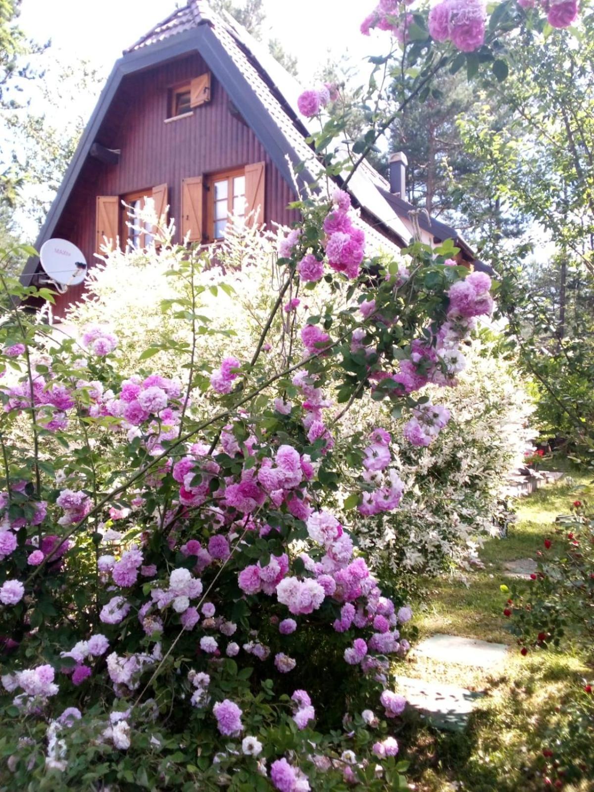 Plitvice Lakes Holiday Lodge Rudanovac Exterior photo